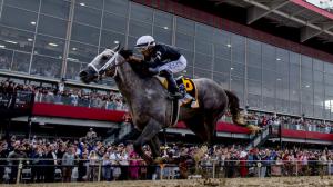 NTRA 3-year-old poll, Sierra Leone, Seize the Grey, Mystik Dan